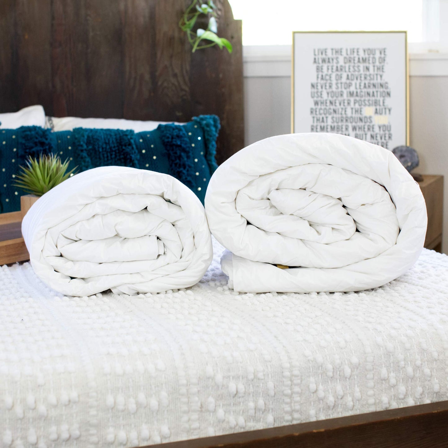 Silk Bedding Direct, 2 Luxus Bettdecken, Maulbeerseide, handgefertigt, Sommer & Frühlings/Herbstgewicht, Queen 240x220cm, Oeko-TEX